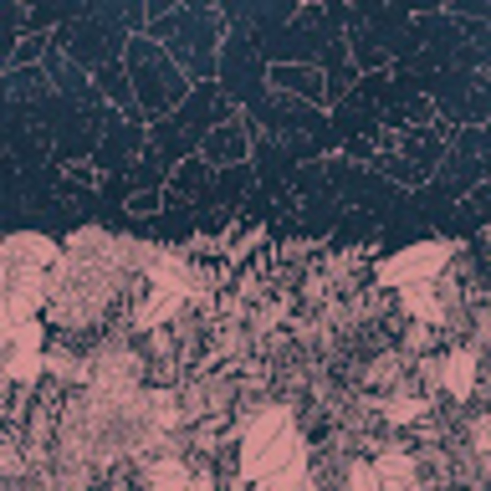 Meet your Posher, Lia